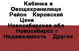 Кабинка в Овощехранилище › Район ­ Кировский › Цена ­ 50 000 - Новосибирская обл., Новосибирск г. Недвижимость » Другое   